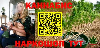 сатива Тверь