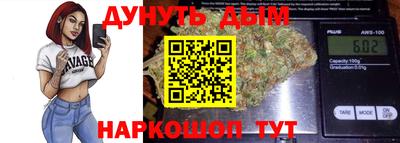сатива Тверь