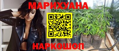 сатива Тверь
