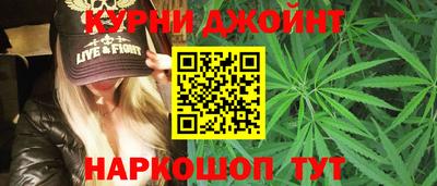 сатива Тверь