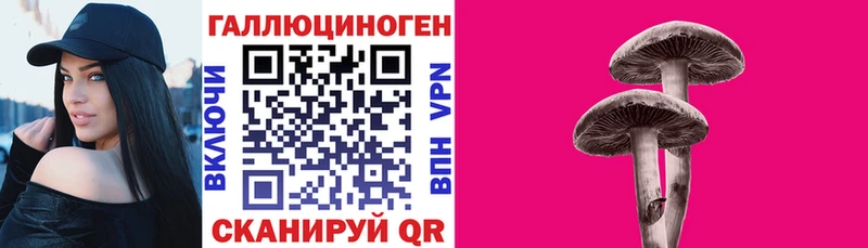 Галлюциногенные грибы GOLDEN TEACHER  Холмск 