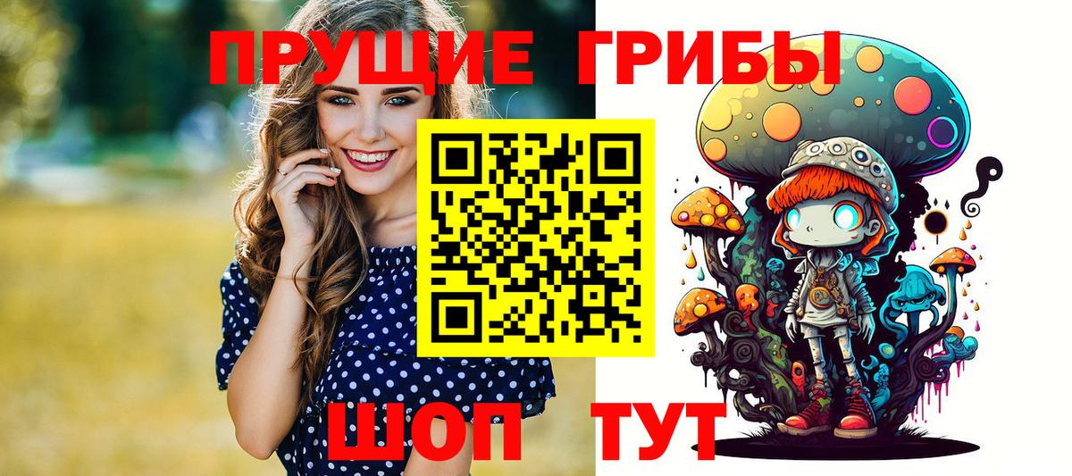 Псилоцибиновые грибы Psilocybe Холмск